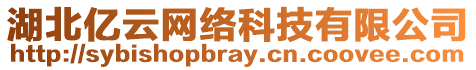 湖北億云網(wǎng)絡科技有限公司