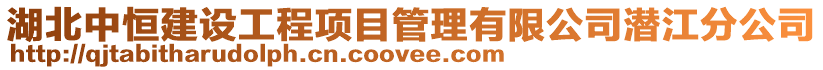 湖北中恒建設工程項目管理有限公司潛江分公司
