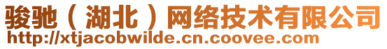 駿馳（湖北）網(wǎng)絡(luò)技術(shù)有限公司