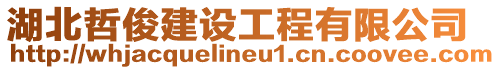 湖北哲俊建設工程有限公司