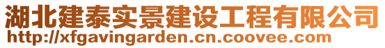 湖北建泰實景建設(shè)工程有限公司