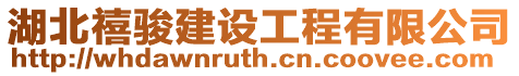 湖北禧駿建設工程有限公司