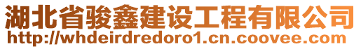 湖北省駿鑫建設(shè)工程有限公司