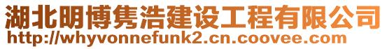 湖北明博雋浩建設工程有限公司