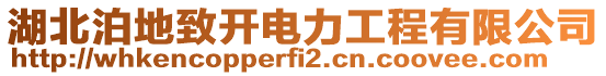湖北泊地致開電力工程有限公司