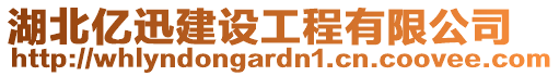 湖北億迅建設工程有限公司