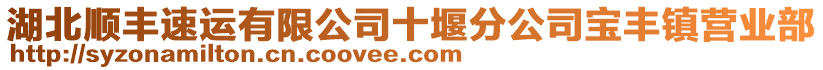 湖北順豐速運有限公司十堰分公司寶豐鎮(zhèn)營業(yè)部