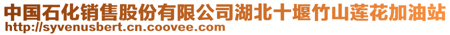 中國(guó)石化銷(xiāo)售股份有限公司湖北十堰竹山蓮花加油站