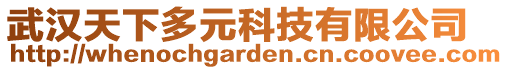 武漢天下多元科技有限公司