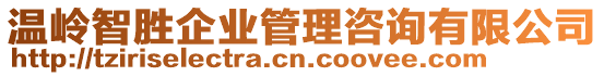 溫嶺智勝企業(yè)管理咨詢有限公司