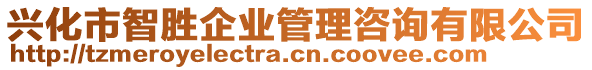 興化市智勝企業(yè)管理咨詢有限公司