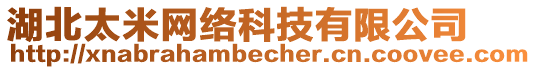 湖北太米網(wǎng)絡(luò)科技有限公司