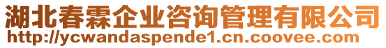 湖北春霖企業(yè)咨詢管理有限公司