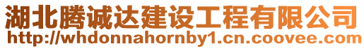 湖北騰誠達建設工程有限公司