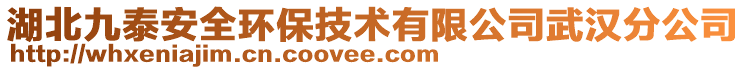 湖北九泰安全環(huán)保技術(shù)有限公司武漢分公司