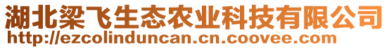 湖北梁飛生態(tài)農(nóng)業(yè)科技有限公司