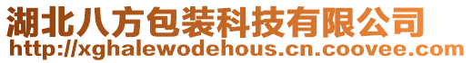 湖北八方包裝科技有限公司