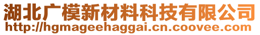 湖北廣模新材料科技有限公司