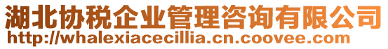 湖北協稅企業管理咨詢有限公司