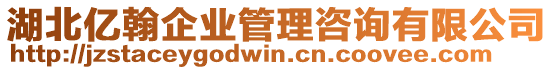 湖北億翰企業(yè)管理咨詢有限公司