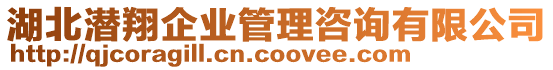 湖北潛翔企業(yè)管理咨詢有限公司