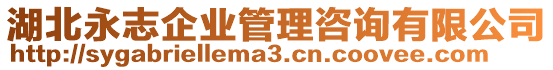 湖北永志企業(yè)管理咨詢有限公司