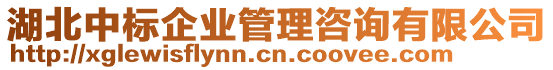 湖北中標(biāo)企業(yè)管理咨詢有限公司