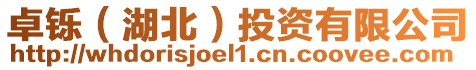 卓鑠(湖北)投資有限公司
