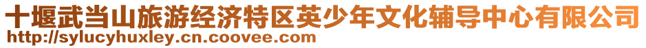 十堰武當(dāng)山旅游經(jīng)濟(jì)特區(qū)英少年文化輔導(dǎo)中心有限公司