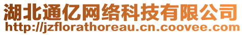 湖北通億網(wǎng)絡(luò)科技有限公司