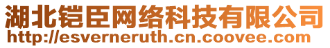湖北鎧臣網絡科技有限公司