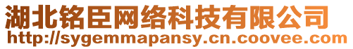 湖北銘臣網(wǎng)絡(luò)科技有限公司