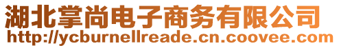 湖北掌尚電子商務(wù)有限公司