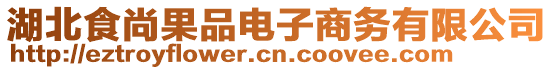 湖北食尚果品電子商務(wù)有限公司