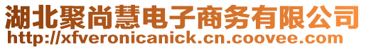 湖北聚尚慧電子商務(wù)有限公司