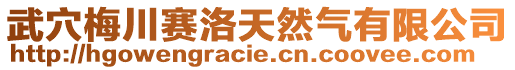 武穴梅川賽洛天然氣有限公司