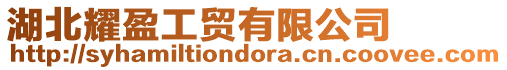 湖北耀盈工貿(mào)有限公司
