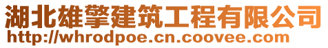 湖北雄擎建筑工程有限公司