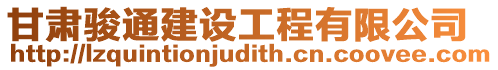 甘肅駿通建設(shè)工程有限公司