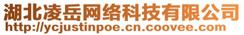 湖北凌岳網(wǎng)絡(luò)科技有限公司