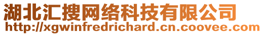 湖北匯搜網(wǎng)絡(luò)科技有限公司