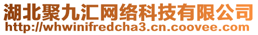 湖北聚九匯網絡科技有限公司