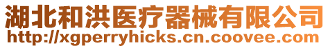 湖北和洪醫療器械有限公司