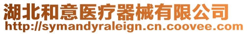 湖北和意醫(yī)療器械有限公司