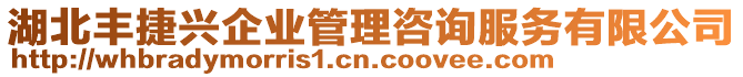 湖北豐捷興企業(yè)管理咨詢服務(wù)有限公司