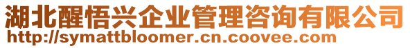 湖北醒悟興企業(yè)管理咨詢有限公司