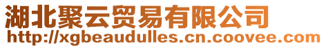 湖北聚云貿易有限公司