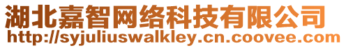 湖北嘉智網(wǎng)絡(luò)科技有限公司