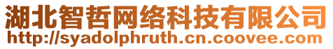 湖北智哲網(wǎng)絡(luò)科技有限公司