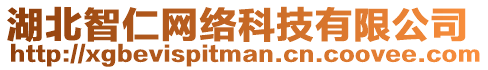 湖北智仁網(wǎng)絡(luò)科技有限公司